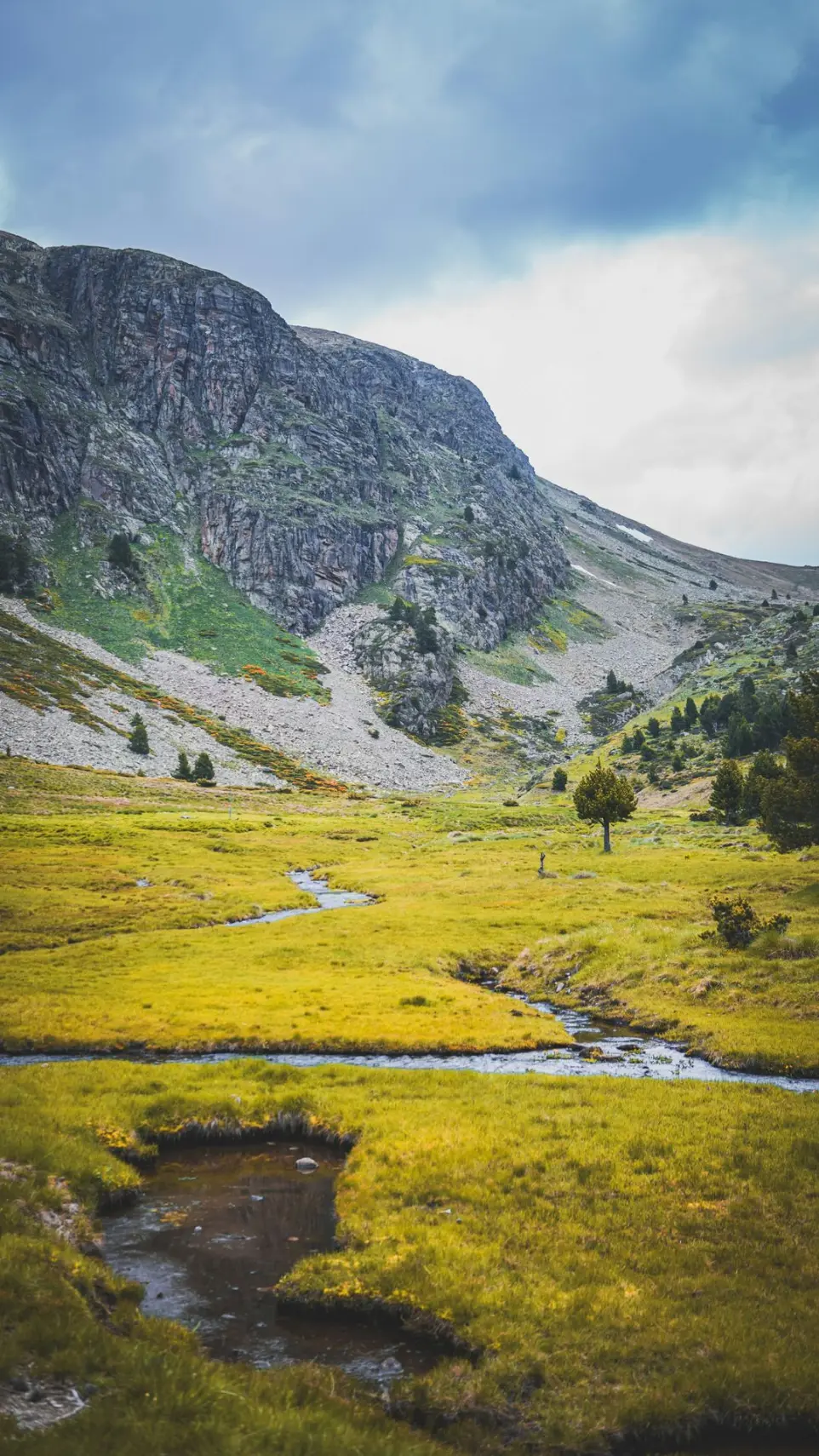 A winding stream flows through a mountain meadow.